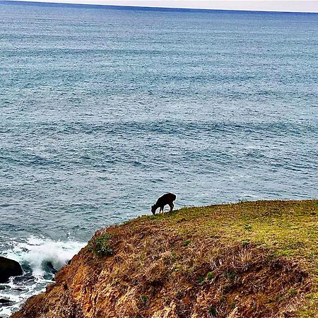 Inn Of The Lost Coast Shelter Cove Екстер'єр фото