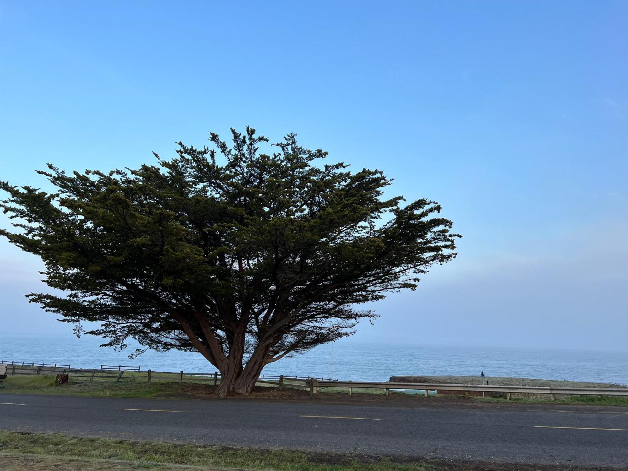 Inn Of The Lost Coast Shelter Cove Екстер'єр фото